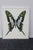 Michele Astolfi, Green Butterfly, 2000s, Mixed Media, Framed For Sale - Image 6 of 6