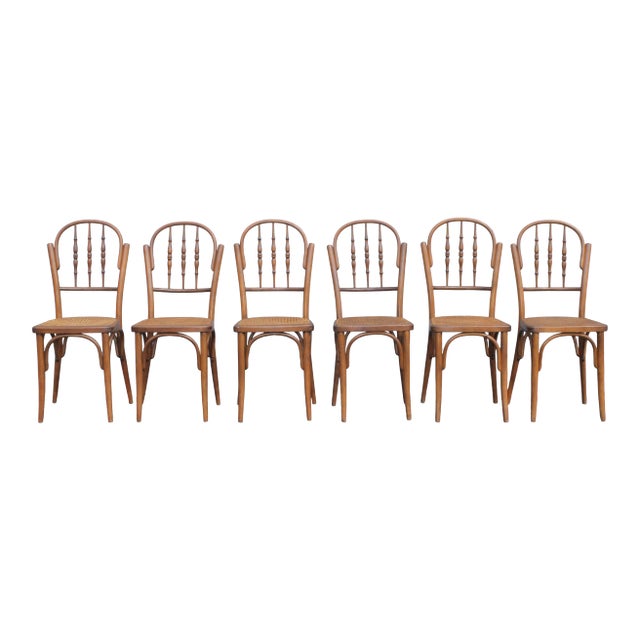 C1940 Vintage French Style Caned Dining Chairs - S/ 6 For Sale