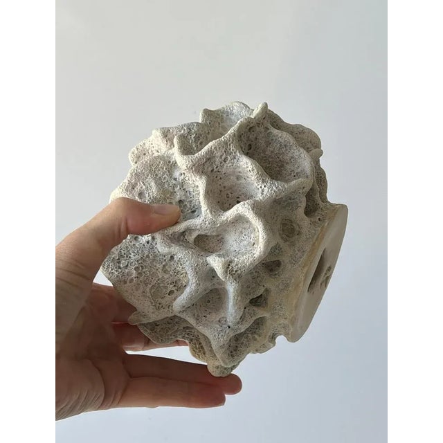 Contemporary Ceramic Coral Sculpture by N'atelier Ceramics For Sale - Image 3 of 5