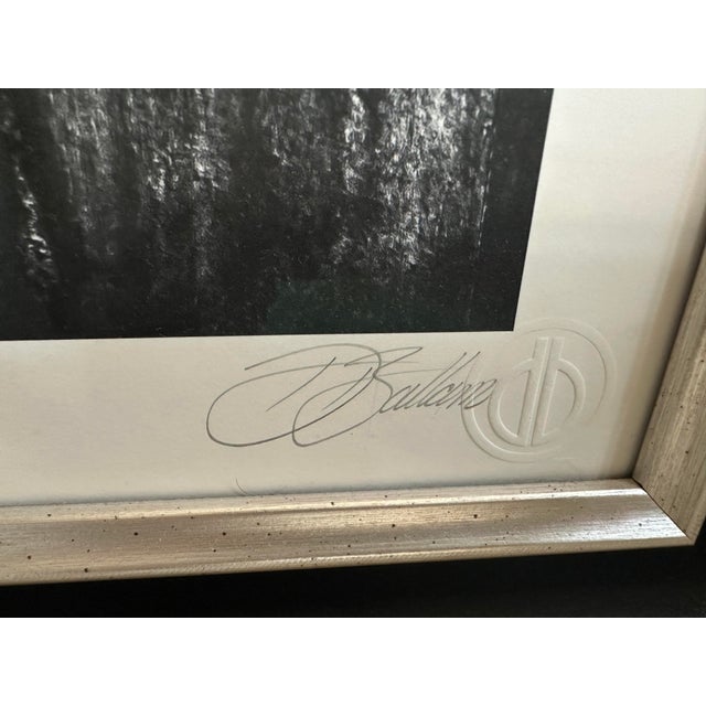 David Ballam is a contemporary South African photographer based in Johannesburg. He graduated from Rhodes University with...