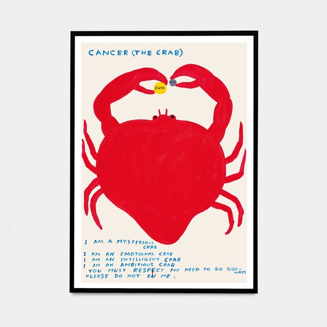 White Set of 12 David Shrigley Signs of the Zodiac Lithograph Poster (Individual), 2021 For Sale - Image 8 of 13