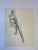 Three sequence drawings of posed nude female figure in pencil on paper by Oklahoma artist and art's patron Nona Jean...