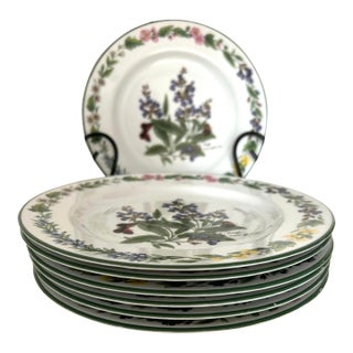 1990 Royal Worcester Herbs Sage Salad Plates- Set of 5 For Sale