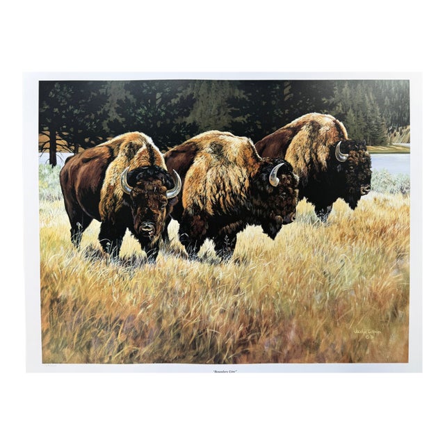 1990s Jocelyn Lillpop Russell Boundary Line Bison Buffalo Yellowstone National Park Signed Numbered American Print For Sale