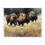 1990s Jocelyn Lillpop Russell Boundary Line Bison Buffalo Yellowstone National Park Signed Numbered American Print For Sale