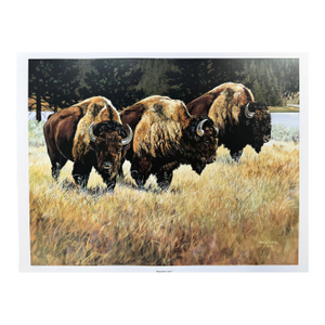 1990s Jocelyn Lillpop Russell Boundary Line Bison Buffalo Yellowstone National Park Signed Numbered American Print