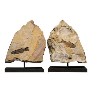 Fossil Sculpture 8367 For Sale
