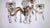 Mid-Century Modern Brass-Lead Crystal Five-Light Chandelier from H.Richter, 1960s For Sale - Image 3 of 13