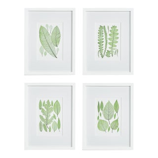 Assorted Leaf Prints, Set Of 4 For Sale