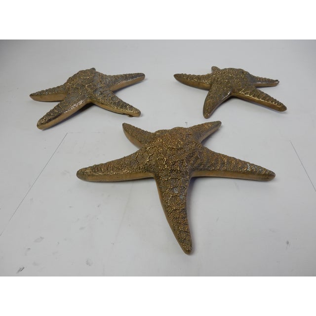 Metal Vintage Brass Starfish Sculpture Set Natural Specimen Art, Korea 1960's For Sale - Image 7 of 7