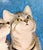 Late 20th Century Late 20th Century Gray Tabby Cats Original Painting – Cat Lovers Art Decor Gift Framed Signed For Sale - Image 5 of 8