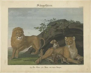 Friedrich Philipp Wilmsen, Lion, Lioness and Lion Cubs, 1851, Paper