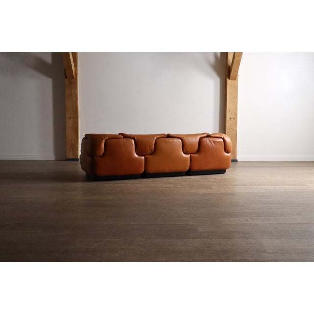 Animal Skin Confidential Sofa in Cognac Leather by Alberto Rosselli for Saporiti, Italy, 1970s For Sale - Image 7 of 14