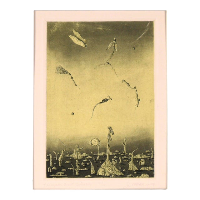 "Triangular Sunset Situation" - Surrealist Colored Etching #15/16, 1978 by James C. Crabb For Sale