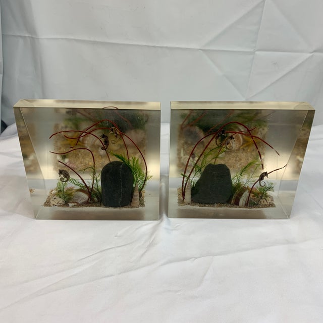 Plastic Vintage Lucite Seahorse Sea Life Bookends For Sale - Image 7 of 7