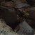 Contemporary Light Among Rocks by Jon Doran | Oil on Panel Rocky Cove With Turquoise Water For Sale - Image 4 of 9