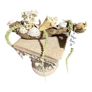 Celestial Meets the Sea Driftwood Sculpture For Sale