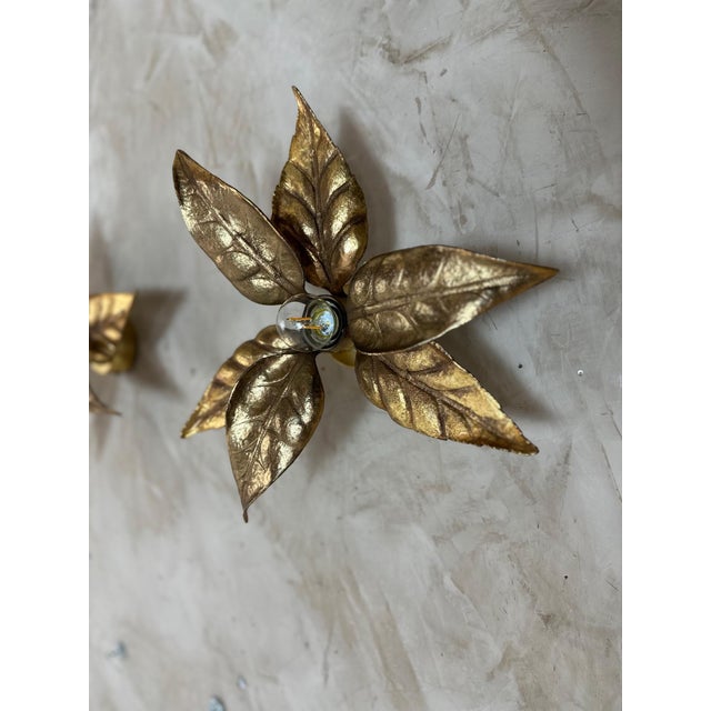 Gold Wall Lights attributed to Willy Daro, 1970s, Set of 2 For Sale - Image 8 of 14