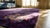 Wonderful Purple Open Field With Unique on the Corner Detail Floral Antique Chinese Art Deco Rug For Sale - Image 9 of 9