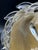 Horse Head Sculpture in Sommerso Glass and Gold by Archimede Seguso, Murano, 1950s For Sale - Image 6 of 11