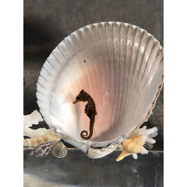 Mid 20th Century Pair of Whimsical Clear Bookends With Seashells and Seahorse For Sale - Image 10 of 12