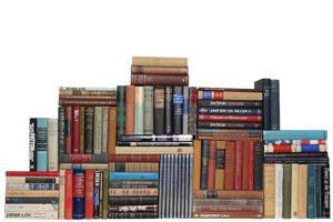 Curated Americana : Set of One Hundred Decorative Books