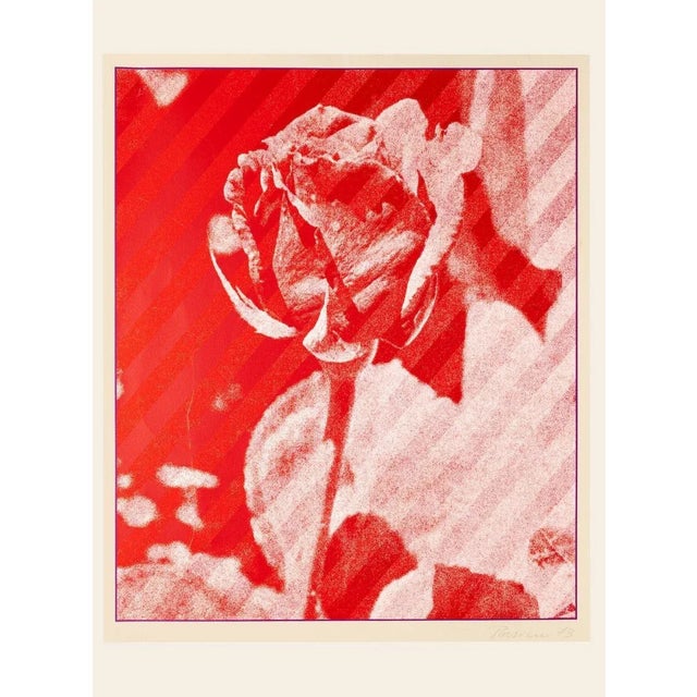 The Rose is an Original print screen on cardboard by Costantino Persiani in 1973. Hand-signed and dated on the lower...