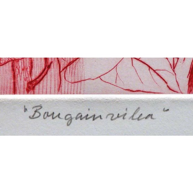 g.h Rothe Bougainvillea 1981 Mezzotint Etching Hand Signed For Sale - Image 4 of 5