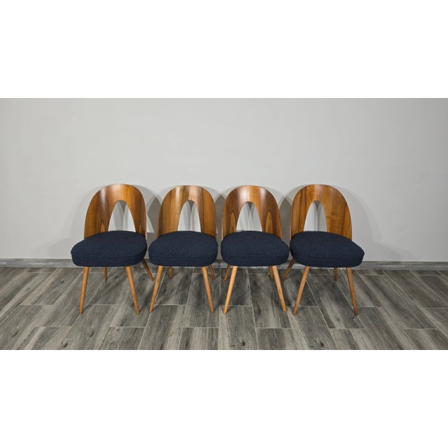 1960s Dining Chairs by Antonin Suman, 1960s, Set of 4 For Sale - Image 5 of 12