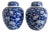 Vintage Chinese Export Blue & White Chinoiserie Ginger Jars/Urns Emblazoned With Punis Flower Design Motif For Sale