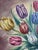 Traditional Vintage Original Flower Oil Painting, Floral Still Life Wall Art For Sale - Image 3 of 11