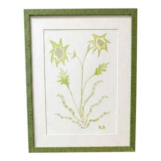 Original Graphite & Gouache Lime Botanical by Katie Binkley For Sale