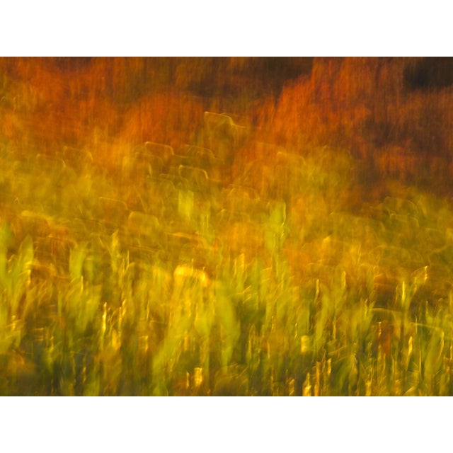 Contemporary Minimalist Abstract Photographic Color Print For Sale