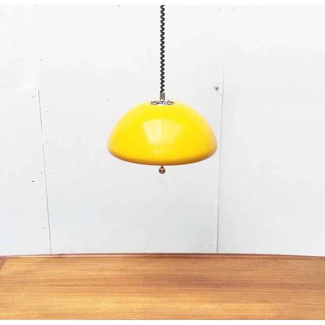 Space Age Cabras Pendant Lamp by Luigi Massoni for Guzzini For Sale - Image 11 of 18