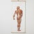 Large Anatomical Wall Chart from Deutsche Hygiene Museum, Dresden, 1992 For Sale - Image 3 of 8