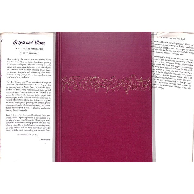 Traditional "Grapes and Vines: From Home Vineyards" 1945 Hedrick, U. P. For Sale - Image 3 of 10