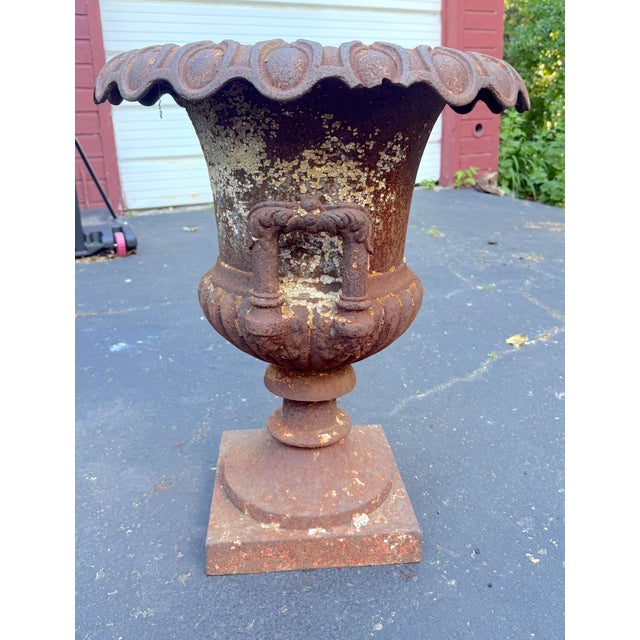 Huge Antique Late Victorian French Heavy Cast Iron Outdoor Planter Urn W/ Handle For Sale - Image 17 of 17