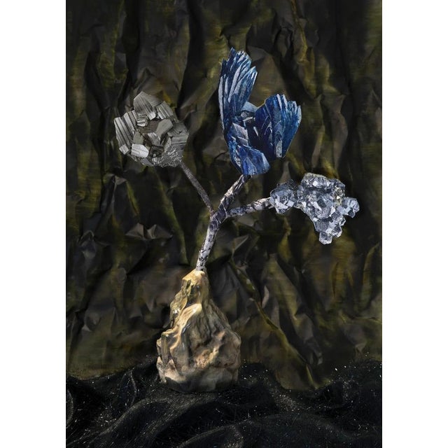 Contemporary Michaela Karásek Čejková, Puget for Geologists, 2000s, Print For Sale - Image 3 of 3