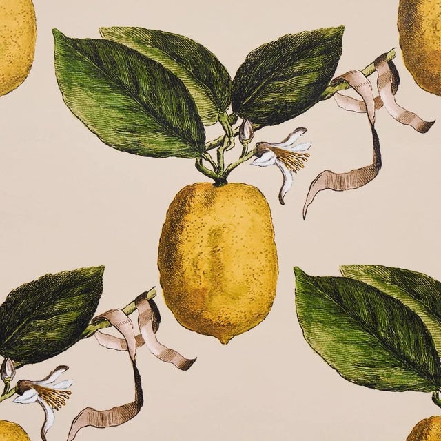 Contemporary Schumacher x Johnson Hartig Le Citron Wallpaper in Natural For Sale - Image 3 of 5