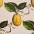Contemporary Schumacher x Johnson Hartig Le Citron Wallpaper in Natural For Sale - Image 3 of 5