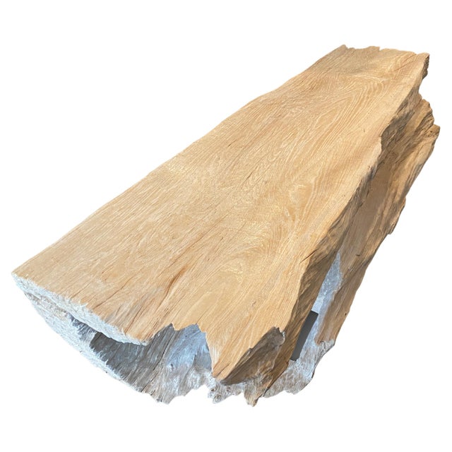 Beautiful hollowed out log style bench or coffee table. We have added a polish to the top for a slight bone contrast and...