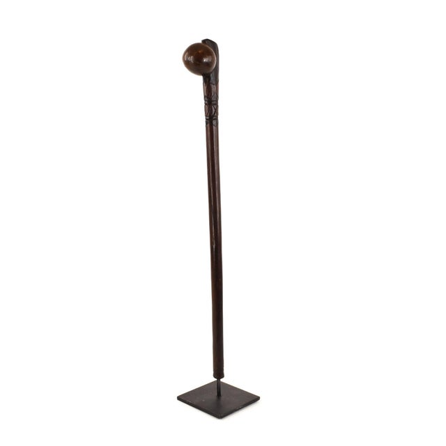 Early 20th Century Zulu Knobkerrie Carved Wood Stick Cane on Custom Stand South Africa For Sale In Denver - Image 6 of 7