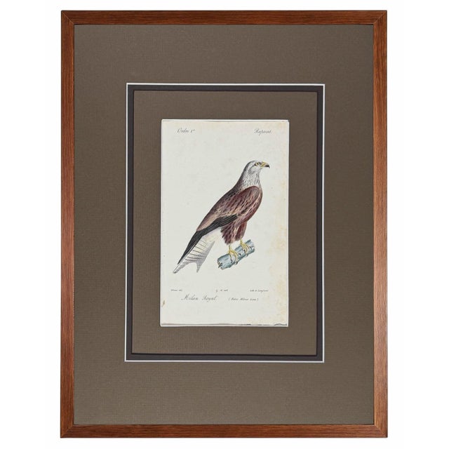 A coordinated gallery of six original 1828 French hand-colored lithographs by Jean-Charles Werner (1798–1856), depicting...