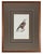A coordinated gallery of six original 1828 French hand-colored lithographs by Jean-Charles Werner (1798–1856), depicting...