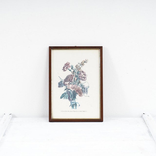Unknown, Botanical Floral Print, 1940s, Wood For Sale - Image 5 of 5