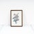 Unknown, Botanical Floral Print, 1940s, Wood For Sale - Image 5 of 5