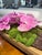 Botanical Mix Potted Arrangements For Sale - Image 9 of 9