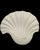 Ceramic Monumental Off White Ceramic Clam Shell Gigantic Palm Beach Regency Wall Sconce Lights by Chapman- A Pair For Sale - Image 7 of 14
