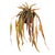 The Rhipsalis dropin is an exotic look. We, ve added this flowing beauty in a nomaintenance faux. 100% realistic an...