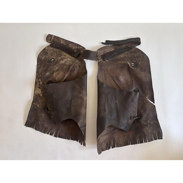 Animal Skin s.c. Gallup Western Chaps From Colorado, 1890s For Sale - Image 7 of 9